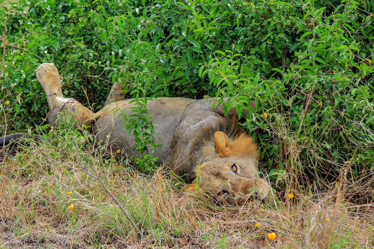 Wild Tracks Overland Camp Kasese Exterior foto